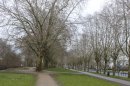 Bordeaux : jardin botanique
